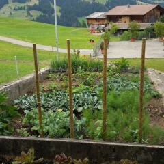 Отель Gstaad - Amazing Lake Chalet фото 9
