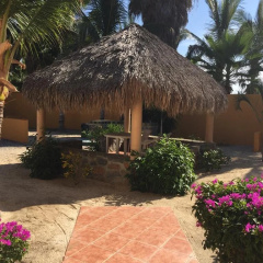 tropicales zenhotels