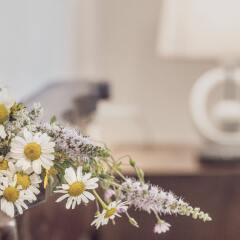 Отель Agriturismo Cupello Италия, Читтадукале - отзывы, цены и фото номеров - забронировать отель Agriturismo Cupello онлайн помещение для мероприятий