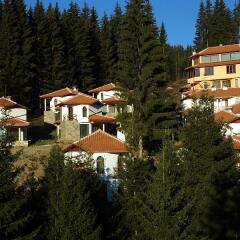 Отель Villas & SPA at Pamporovo Village бассейн фото 2