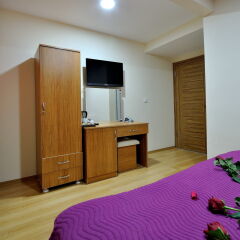 Seyri Istanbul Hotel Турция, Стамбул - отзывы, цены и фото номеров - забронировать отель Seyri Istanbul Hotel онлайн удобства в номере