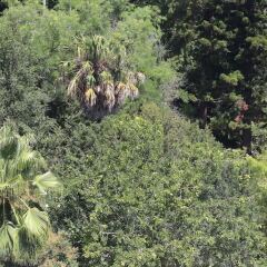 Отель Botanic Views Guest House Лиссабон