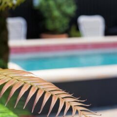 Отель Valverde Hotel Португалия, Лиссабон - отзывы, цены и фото номеров - забронировать отель Valverde Hotel онлайн бассейн фото 3