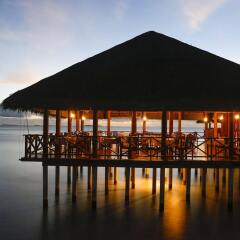Отель Medhufushi Island Resort гостиничный бар