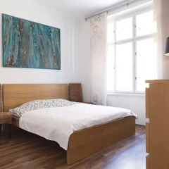 Апартаменты Chic and Spacious Buzulucka Apartment Прага комната для гостей