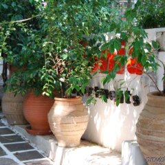 Отель Apollonia Hotel Apartments Греция, Вари-Вула-Вулиагмени - 1 отзыв об отеле, цены и фото номеров - забронировать отель Apollonia Hotel Apartments онлайн с домашними животными