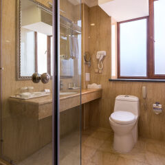 Paris Hotel in Yerevan, Armenia from 157$, photos, reviews - zenhotels.com bathroom