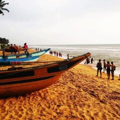 Отель Marigold Beach House