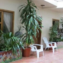 Отель Cabo Cush Мексика, Кабо-Сан-Лукас - отзывы, цены и фото номеров - забронировать отель Cabo Cush онлайн фото 7