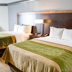 Отель Comfort Inn And Suites Near Universal Studios Лос-Анджелес комната для гостей фото 3