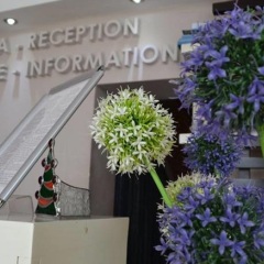 Отель Boutique Hotel Arta Сербия, Нови Сад - отзывы, цены и фото номеров - забронировать отель Boutique Hotel Arta онлайн помещение для мероприятий фото 2