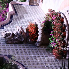 Отель Boutique Casa Bella Мексика, Кабо-Сан-Лукас - отзывы, цены и фото номеров - забронировать отель Boutique Casa Bella онлайн фото 11