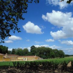 Отель Ibis Saint Emilion Франция, Сент-Эмильон - отзывы, цены и фото номеров - забронировать отель Ibis Saint Emilion онлайн приотельная территория