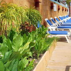 Отель Malibu Beach Resort Самуи фото 10