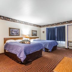 Отель Rodeway Inn & Suites WI Madison - Northeast США, Мэдисон - отзывы, цены и фото номеров - забронировать отель Rodeway Inn & Suites WI Madison - Northeast онлайн комната для гостей фото 5