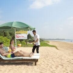 Отель Palm Beach Inn and Sea Shells Cabanas Шри-Ланка, Бентота - отзывы, цены и фото номеров - забронировать отель Palm Beach Inn and Sea Shells Cabanas онлайн фото 17