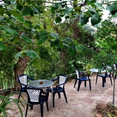 Отель Hostal Magnolia Испания, Льорет-де-Мар - отзывы, цены и фото номеров - забронировать отель Hostal Magnolia онлайн фото 3