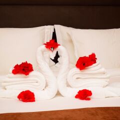 Отель Monty Suites & Golf детские мероприятия
