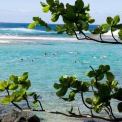 Punta Cana Hostel пляж