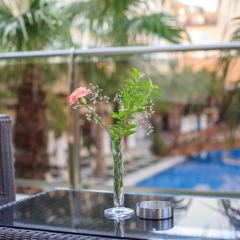 Отель Side Crown Palace - All Inclusive балкон