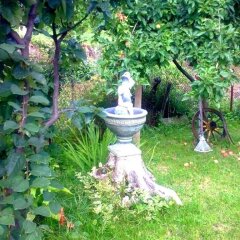 Отель Veselata Guest House Болгария, Боровец - отзывы, цены и фото номеров - забронировать отель Veselata Guest House онлайн фото 25
