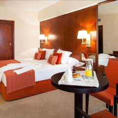 Hotel Royal Plaza в номере