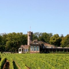 Отель Romantik Burghotel Schwarzenstein Гайзенхайм приотельная территория