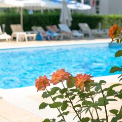 Karlovo Hotel с домашними животными