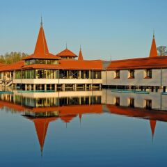 Отель Danubius Health Spa Resort Heviz Венгрия, Хевиз - 5 отзывов об отеле, цены и фото номеров - забронировать отель Danubius Health Spa Resort Heviz онлайн приотельная территория