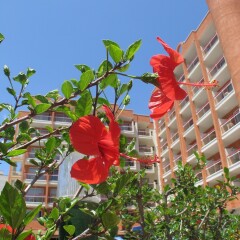 Отель Ohtels Belvedere фото 7