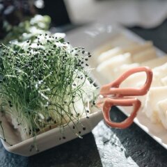 Отель Der Greil Австрия, Зёлль - отзывы, цены и фото номеров - забронировать отель Der Greil онлайн помещение для мероприятий фото 2