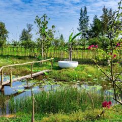 Отель Allamanda Estate Вьетнам, Хойан - отзывы, цены и фото номеров - забронировать отель Allamanda Estate онлайн фото 15