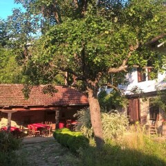 Отель Little River Guest House OLD Боженци фото 4