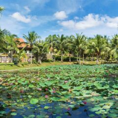 Отель Pandanus Resort Фантхьет приотельная территория фото 2
