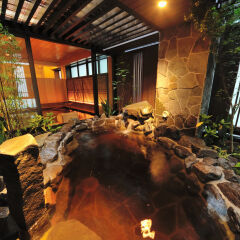 Отель Tennen Onsen Toyama Tsurugi No Yu Onyado Nono Тояма с домашними животными