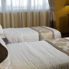 Blue Nest Hotel in Addis Ababa, Ethiopia from 147$, photos, reviews - zenhotels.com photo 6