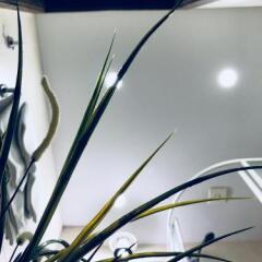 Гостиница Guest rooms Club Marinn в Санкт-Петербурге отзывы, цены и фото номеров - забронировать гостиницу Guest rooms Club Marinn онлайн Санкт-Петербург удобства в номере