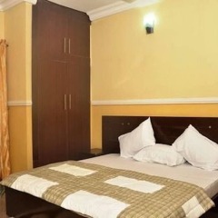 Birch Tree Hotel комната для гостей фото 3