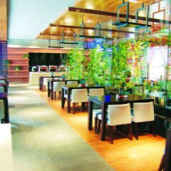 Отель Jinjiang Inn Chendu Jinxianqiao гостиничный бар