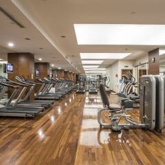 Отель Holiday Inn Istanbul Sisli фитнесс-зал фото 3