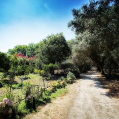 Отель Quinta Da Praia Das Fontes Португалия, Алкошети - отзывы, цены и фото номеров - забронировать отель Quinta Da Praia Das Fontes онлайн