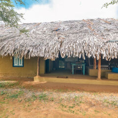 Отель Back of Beyond - Safari Lodge Yala пляж