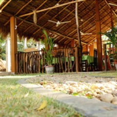 The Grand Yala Hotel гостиничный бар