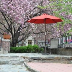 Отель Kalorama Guest House США, Вашингтон - отзывы, цены и фото номеров - забронировать отель Kalorama Guest House онлайн фото 6