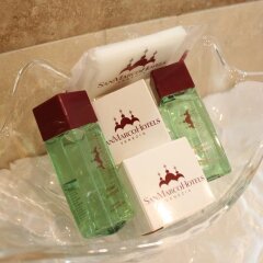 Отель Royal San Marco Hotel Италия, Венеция - 2 отзыва об отеле, цены и фото номеров - забронировать отель Royal San Marco Hotel онлайн удобства в номере
