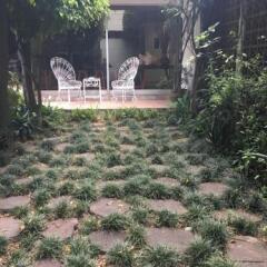 Отель Hostal Cuija Coyoacan Мексика, Мехико - отзывы, цены и фото номеров - забронировать отель Hostal Cuija Coyoacan онлайн фото 6