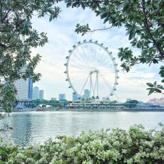 Отель M Social Singapore Сингапур, Сингапур - 2 отзыва об отеле, цены и фото номеров - забронировать отель M Social Singapore онлайн приотельная территория фото 2