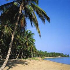 Отель Punta Cana Hostel Доминикана, Пунта Кана - отзывы, цены и фото номеров - забронировать отель Punta Cana Hostel онлайн пляж фото 2