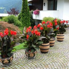 Отель B&B Villa Pattis Випитено фото 12