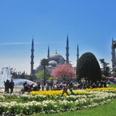 Seyri Istanbul Hotel Турция, Стамбул - отзывы, цены и фото номеров - забронировать отель Seyri Istanbul Hotel онлайн приотельная территория